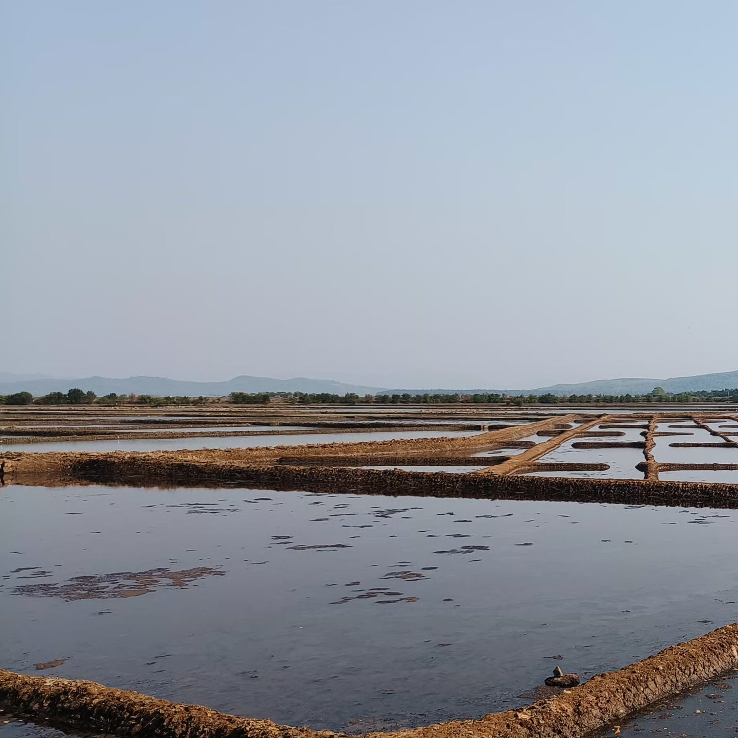 Sanekatte Salt